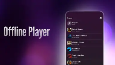 Offline Player: Local Music header