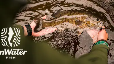 onWater Fish - Fishing Spots header