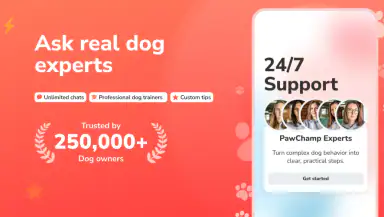 PawChamp - Dog Training & Care header