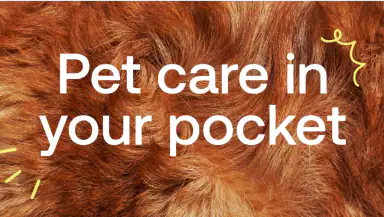 Pawp: 24/7 Vet & Pet Care header