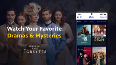 PBS: TV Shows & Documentaries header