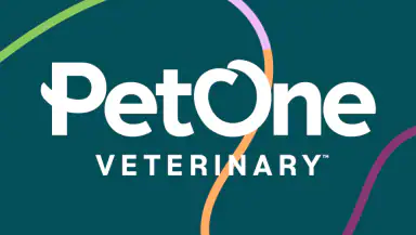 PetOne Vet header