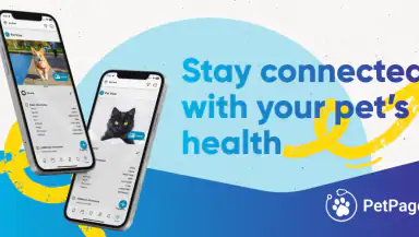 PetPage header