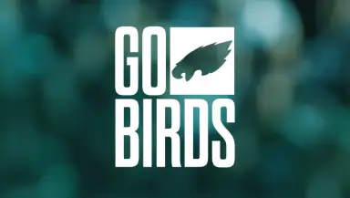 Philadelphia Eagles header