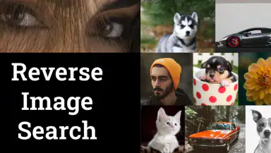Photo Sherlock Search by photo header