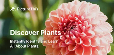 PictureThis - Plant Identifier header