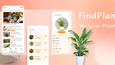 Plant App - Identifier & Care header