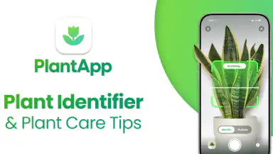 Plant App - Plant Identifier header