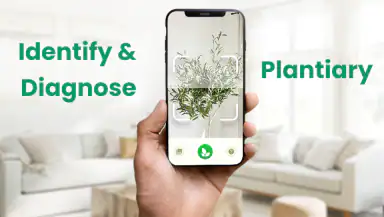 Plant Identifier: Plantiary header