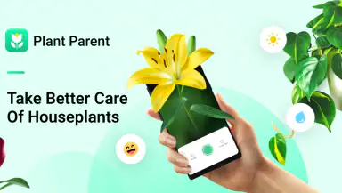 Plant Parent: Plant Care Guide header