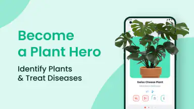 PlantIn Plant Identifier, Care header