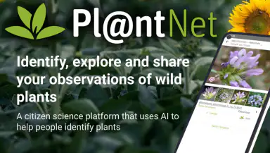 PlantNet Plant Identification header