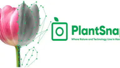 PlantSnap: Plant Identifier header