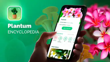 Plantum - Plant Identifier header