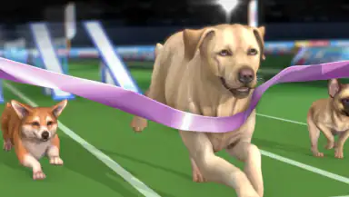 Pocket Paws: My lovely dogs header