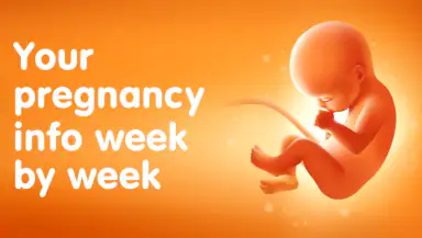 Pregnancy and Due Date Tracker header