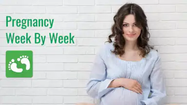 Pregnancy App header