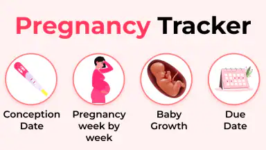 Pregnancy Tracker & Calculator header