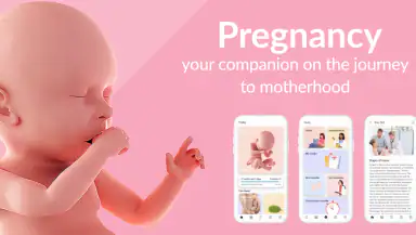 Pregnancy Tracker & Day by Day header