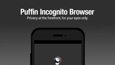Puffin Incognito Browser header