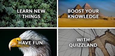 QuizzLand. Quiz & Trivia game header