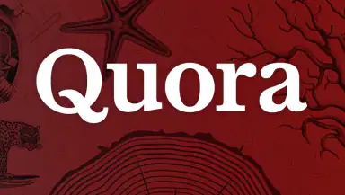 Quora: the knowledge platform header