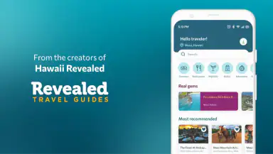 Revealed Travel Guides header