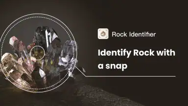 Rock Identifier: Stone ID header