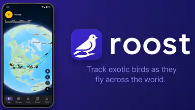 Roost Social header