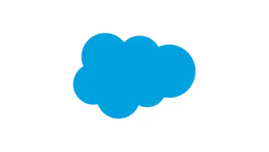 Salesforce header