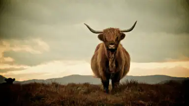 Scotland’s Best: Travel Guide header