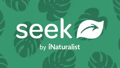 Seek by iNaturalist header