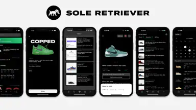 Sole Retriever - Sneakers header