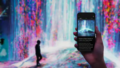 teamLab header