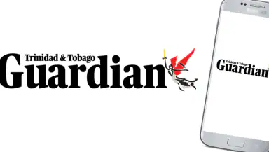 The Digital Guardian header