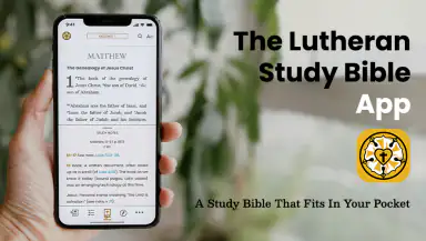 The Lutheran Study Bible header