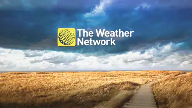 The Weather Network TV App header