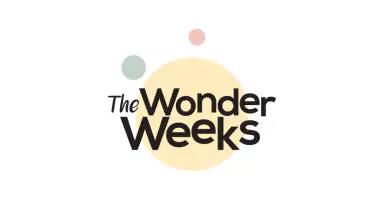 The Wonder Weeks - Baby Leaps header