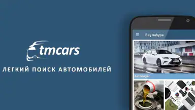 TMCARS header