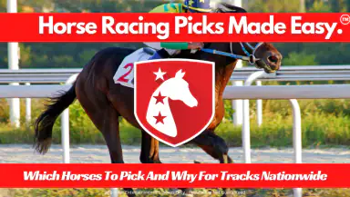 TrackWiz : Horse Racing Picks header
