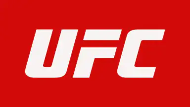 UFC header