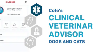 Veterinary Advisor: Dogs Cats header