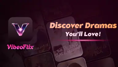 VibeoFlix header