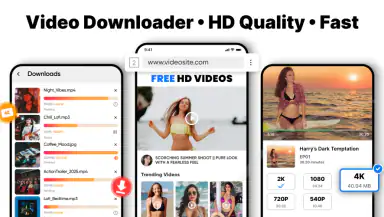 Video Downloader & Launcher header