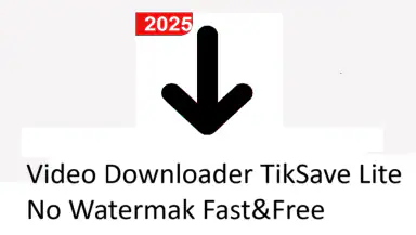 Video Downloader TSaver header