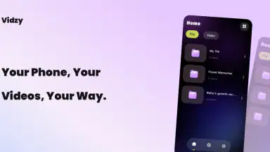 Vidzy-Well Organized header