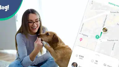 Wag! - Dog Walkers & Sitters header