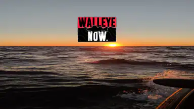 Walleye Now header