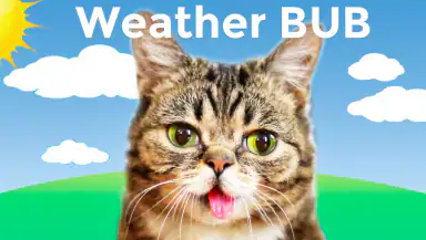 Weather BUB header