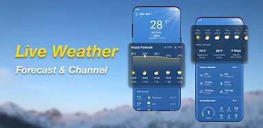 Weather Forecast & Live Radar header